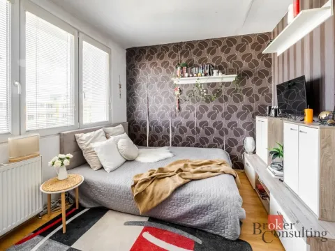 Prodej bytu 1+1, České Budějovice - České Budějovice 2, Vodňanská, 43 m2