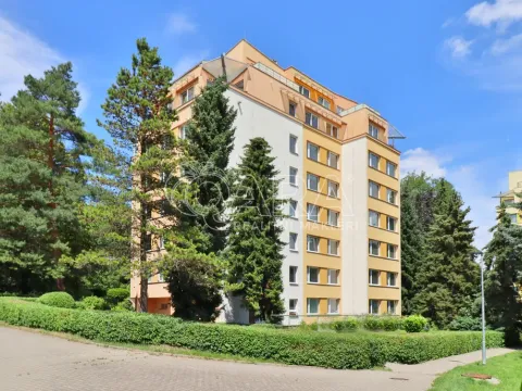 Pronájem bytu 1+kk, Praha, Šimůnkova, 33 m2