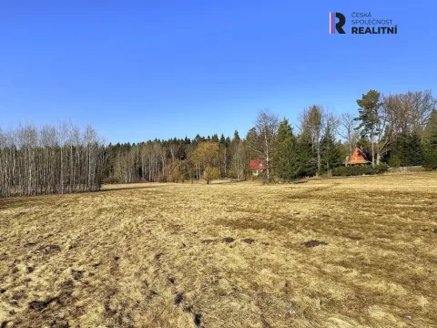 Prodej pozemku, Nová Role - Mezirolí, 5750 m2