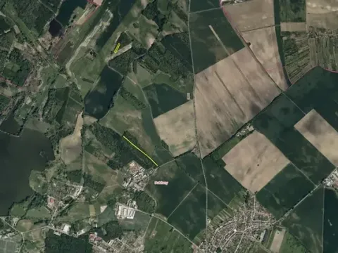 Prodej lesa, Dubňany, 5378 m2