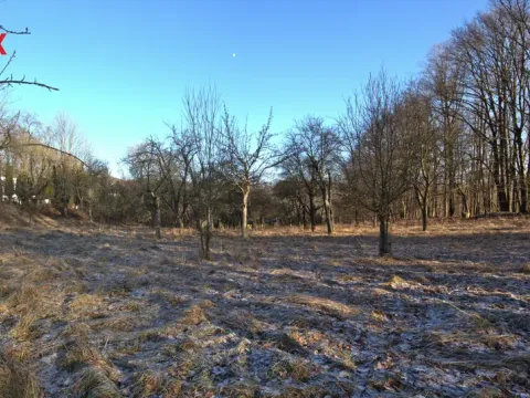 Prodej pozemku pro bydlení, Březnice, 1860 m2