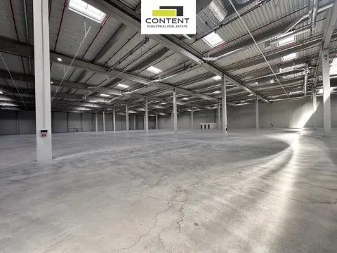 Pronájem výrobních prostor, Údlice, Droužkovická, 2500 m2