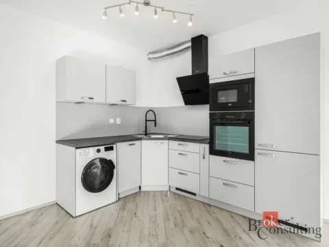 Pronájem bytu 2+kk, Plzeň - Jižní Předměstí, Železná, 52 m2