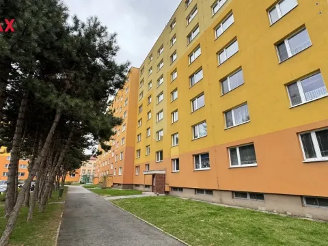 Pronájem bytu 2+1, Přerov - Přerov I-Město, Palackého, 43 m2