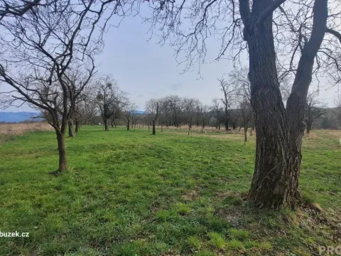 Prodej zahrady, Bystřice pod Hostýnem, 1250 m2