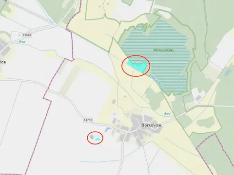 Prodej louky, Borkovice, 24246 m2