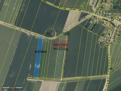 Prodej pole, Borkovice, 15132 m2