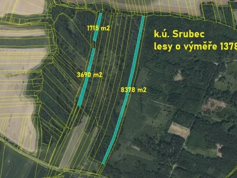 Prodej lesa, Srubec, Ledenická-Škarda, 13783 m2