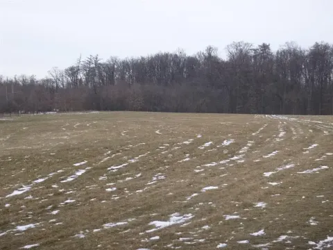 Dražba pole, Nová Sídla, 66956 m2