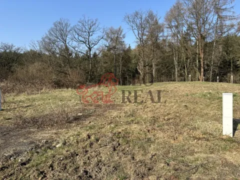 Prodej pozemku pro bydlení, Ludvíkovice, 3129 m2