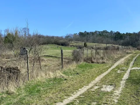 Prodej zahrady, Mikulov, Nová, 520 m2