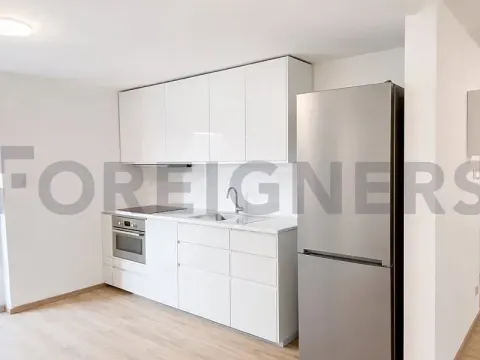 Pronájem bytu 1+kk, Brno, Nováčkova, 50 m2