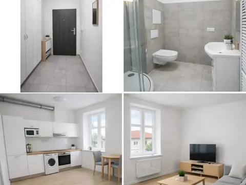 Pronájem bytu 1+kk, Brno, Mathonova, 22 m2