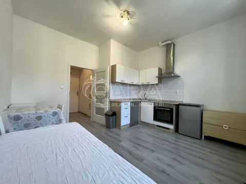 Pronájem bytu 1+kk, Praha - Braník, Na vinohradu, 22 m2