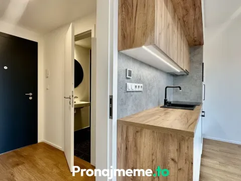 Pronájem bytu 1+kk, Znojmo, Vídeňská třída, 36 m2
