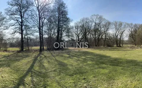 Prodej komerčního pozemku, Dolní Cerekev, 16901 m2