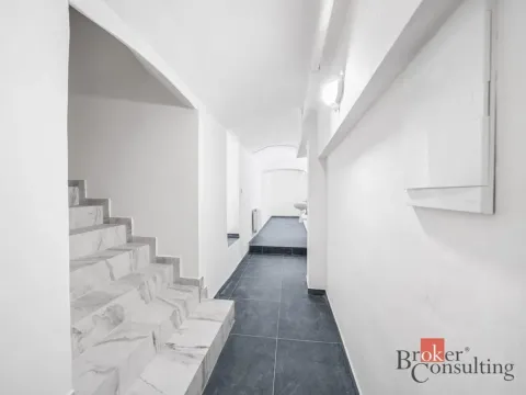 Pronájem - jiné, Plzeň - Jižní Předměstí, Husova, 110 m2
