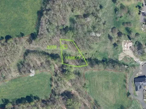 Dražba louky, Petrovice, 1719 m2