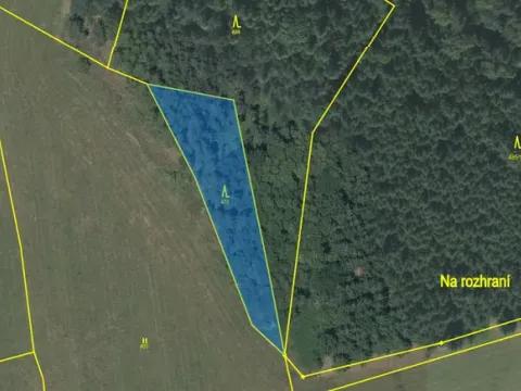 Prodej lesa, Čepřovice, 1644 m2