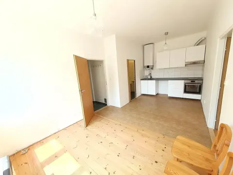 Pronájem bytu 2+kk, Praha - Žižkov, U kněžské louky, 50 m2