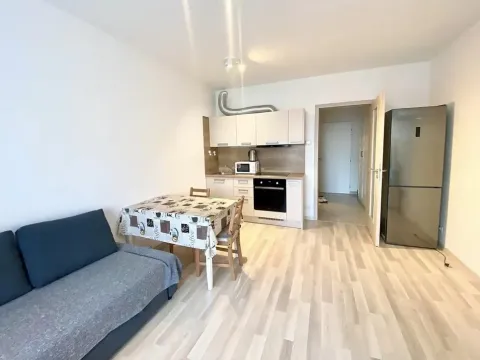 Pronájem bytu 1+kk, Praha - Horní Měcholupy, Mantovská, 32 m2