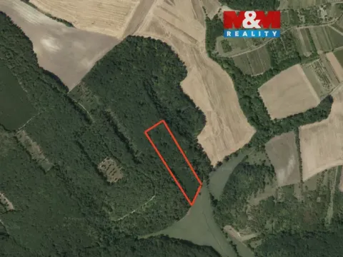 Prodej lesa, Klobouky u Brna, 11688 m2