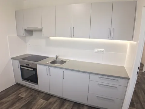 Prodej bytu 2+1, Ostrava, Dr. Martínka, 53 m2