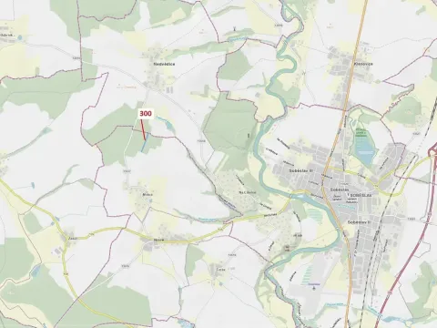 Dražba lesa, Vesce, 5196 m2