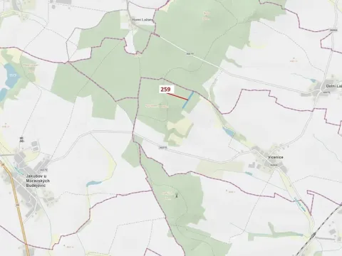 Dražba lesa, Vícenice, 6645 m2