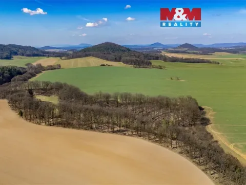 Prodej louky, Tachov, 12761 m2