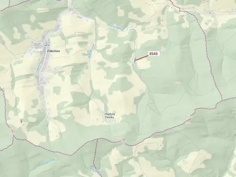 Dražba lesa, Zděchov, 1866 m2