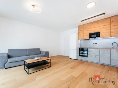Pronájem bytu 1+kk, Brno - Zábrdovice, Bratislavská, 36 m2