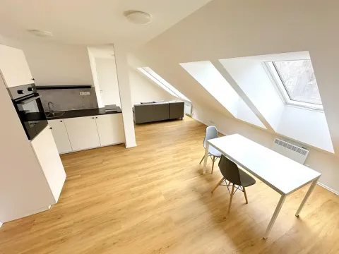 Prodej bytu 2+kk, Praha - Karlín, Kollárova, 67 m2