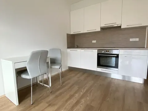 Pronájem bytu 1+kk, Olomouc, Edmunda Husserla, 34 m2