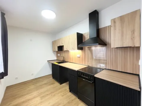 Pronájem bytu 2+1, Ústí nad Labem - Bukov, Školní, 53 m2