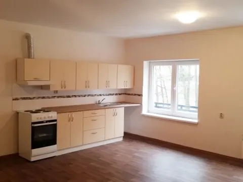 Pronájem bytu 1+kk, Bílý Potok, 39 m2