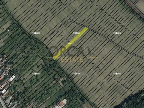 Prodej pole, Radějov, 1222 m2