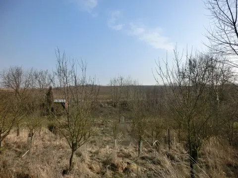 Prodej zahrady, Kunovice, 878 m2