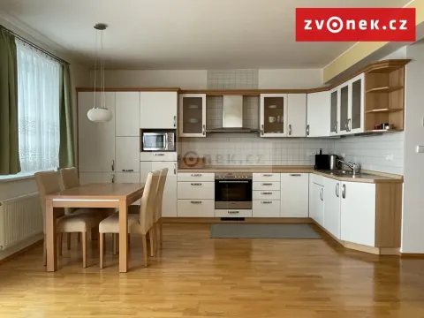 Pronájem bytu 3+kk, Zlín, Plesníkova, 118 m2