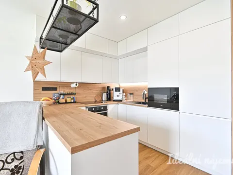 Pronájem bytu 3+kk, Brno, Čermákova, 60 m2