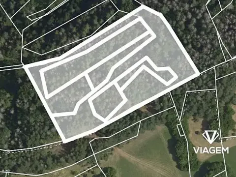 Prodej podílu lesa, Koroužné, 3262 m2