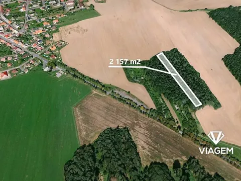 Prodej podílu lesa, Koloveč, 427 m2