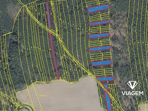 Prodej podílu lesa, Koloveč, 2599 m2