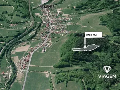 Prodej lesa, Leskovec, 7968 m2