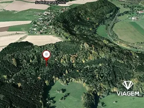 Prodej podílu lesa, Sudislav nad Orlicí, 21329 m2