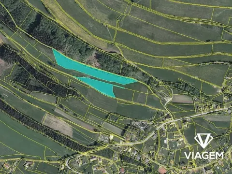 Prodej pole, Vysoká Srbská, 21336 m2