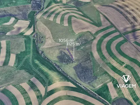 Prodej pole, Bošovice, 2181 m2