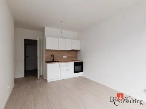 Pronájem bytu 1+kk, Plzeň - Východní Předměstí, Kartónová, 27 m2