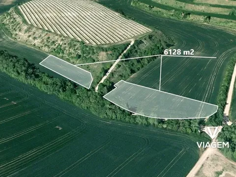 Prodej podílu pole, Uherčice, 2451 m2