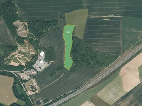 Prodej louky, Starý Plzenec, 25956 m2